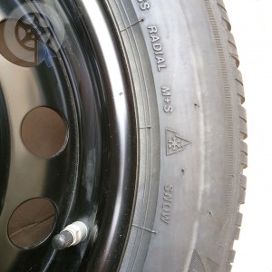 pneu occasion BRIDGESTONE LM005 XL TL dpt 94 