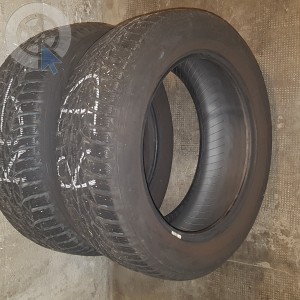 pneu occasion NOKIAN WR D4 dpt 69 