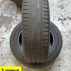 pneu occasion DUNLOP Bluresponse dpt 91 